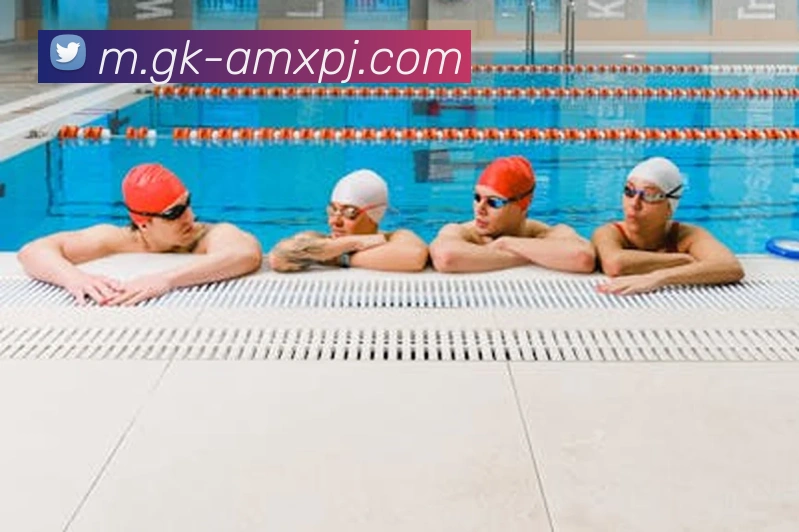 澳门新葡京娱乐平台生态图